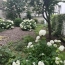 Annonces ANTONY : Appartement | PARIS (75009) | 30 m2 | 425 000 &euro; 